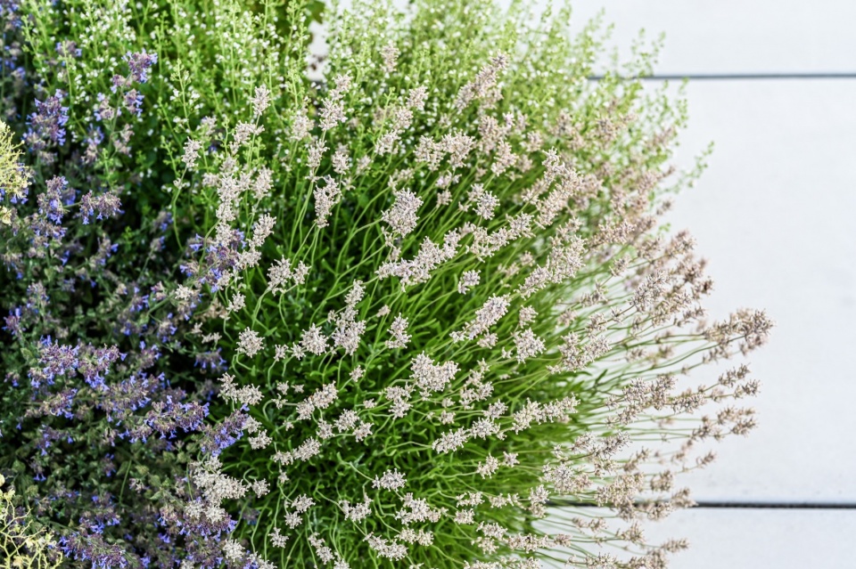 Limitless garden by Atelier Partero