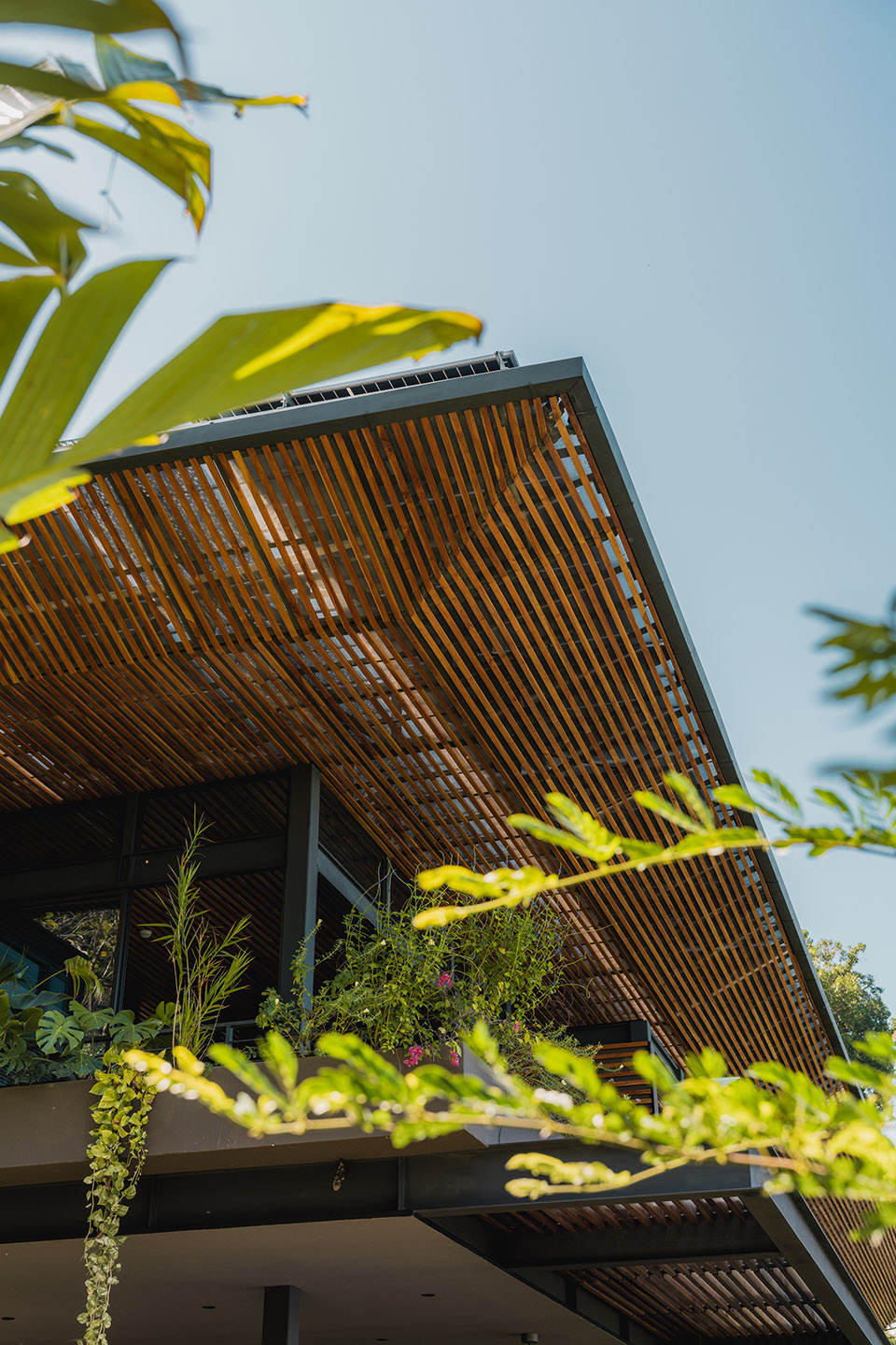 cascada de luz by studio saxe