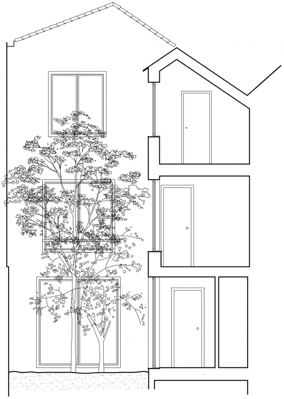 Dailly Mamout architectes