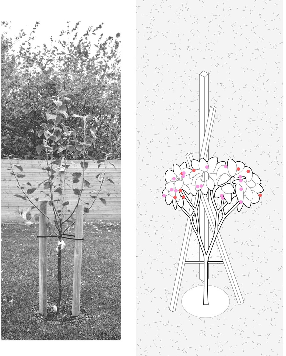Growing Shade by Alsar Atelier Northeastern University School of Architecture