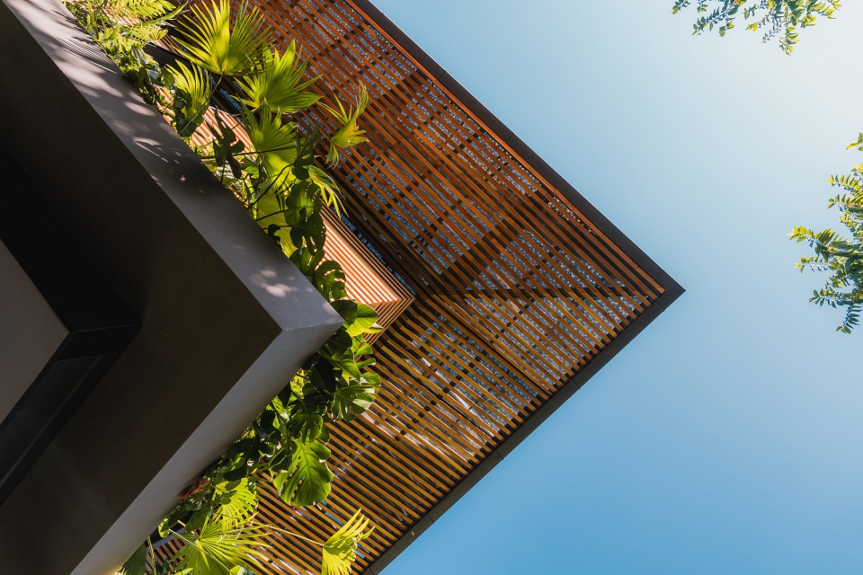 cascada de luz by studio saxe