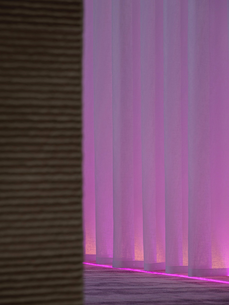 辰衡降临 平行公社