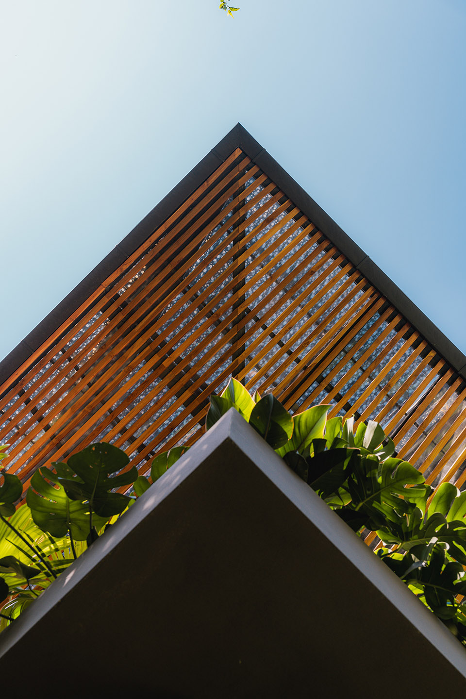 cascada de luz by studio saxe