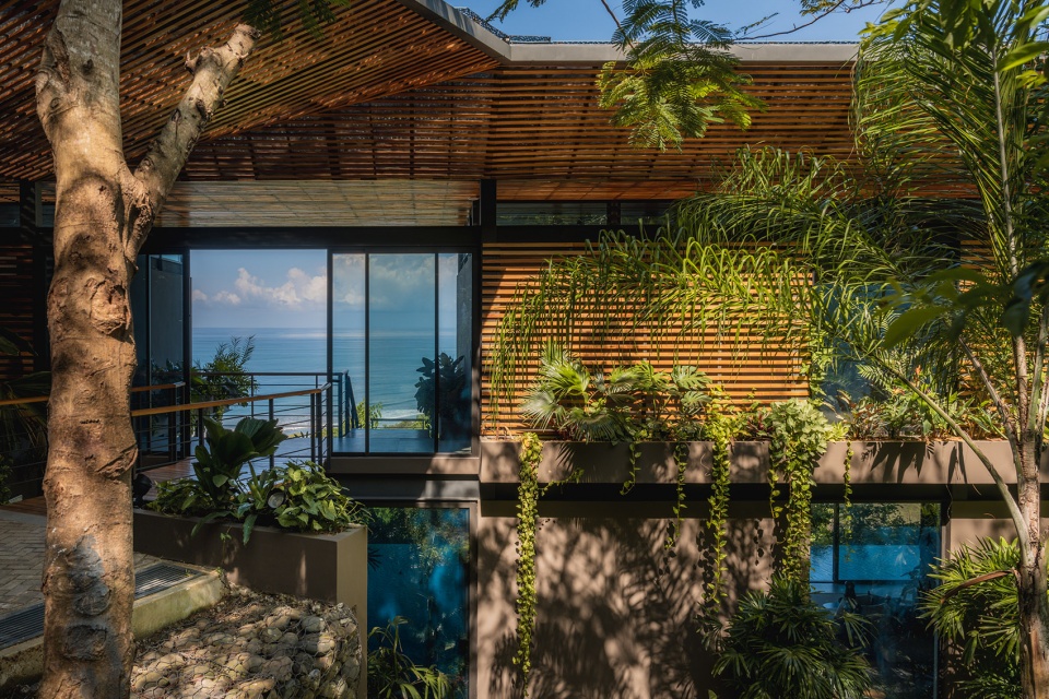 cascada de luz by studio saxe