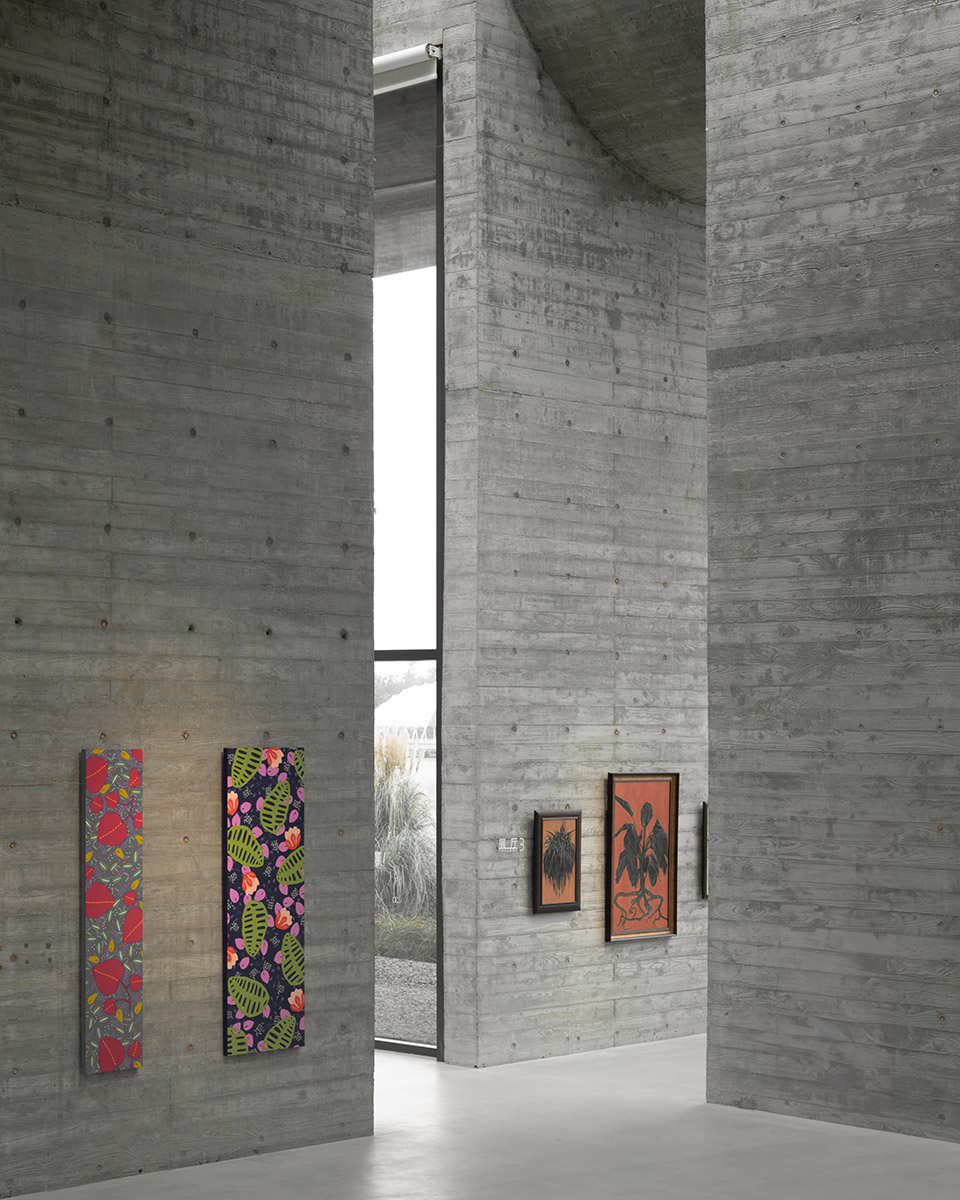 ginkgo gallery by more architecture