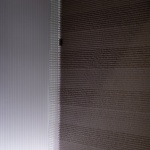 辰衡降临，上海 / 平行公社
