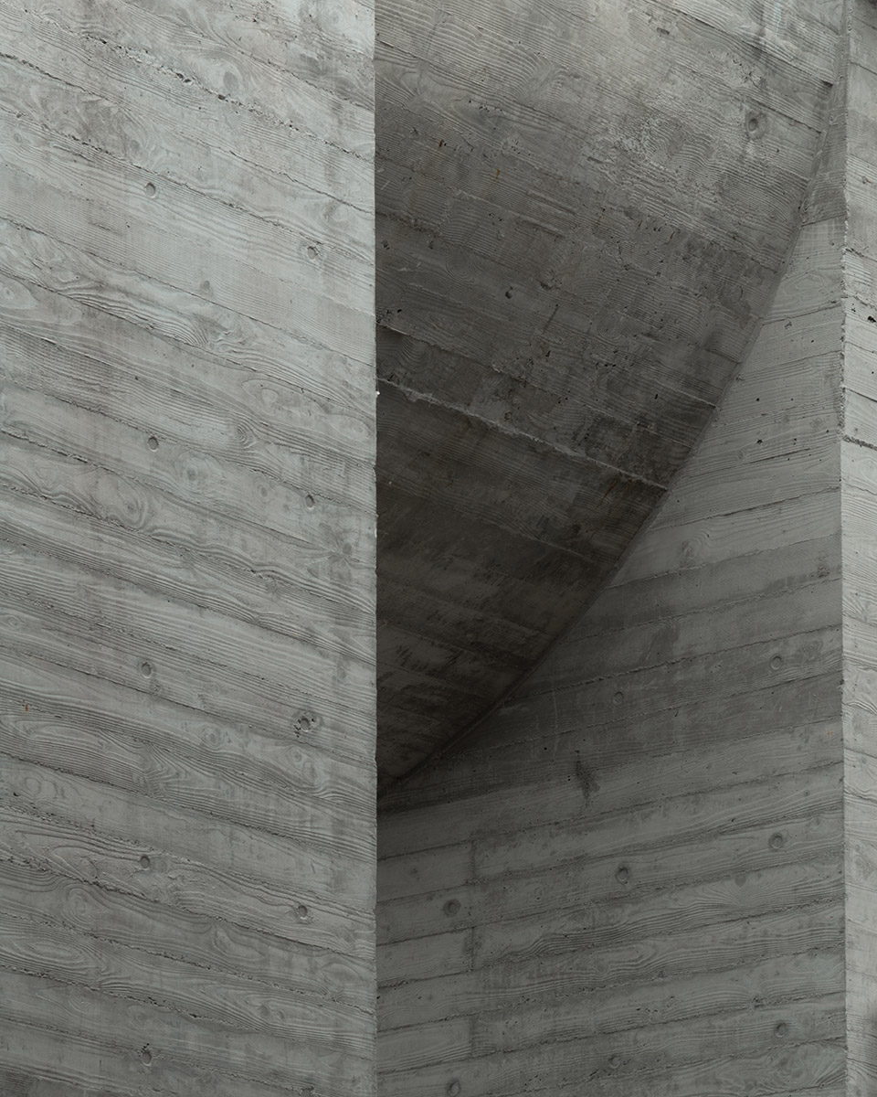 ginkgo gallery by more architecture