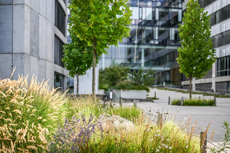 kavci hory office park by atelier partero