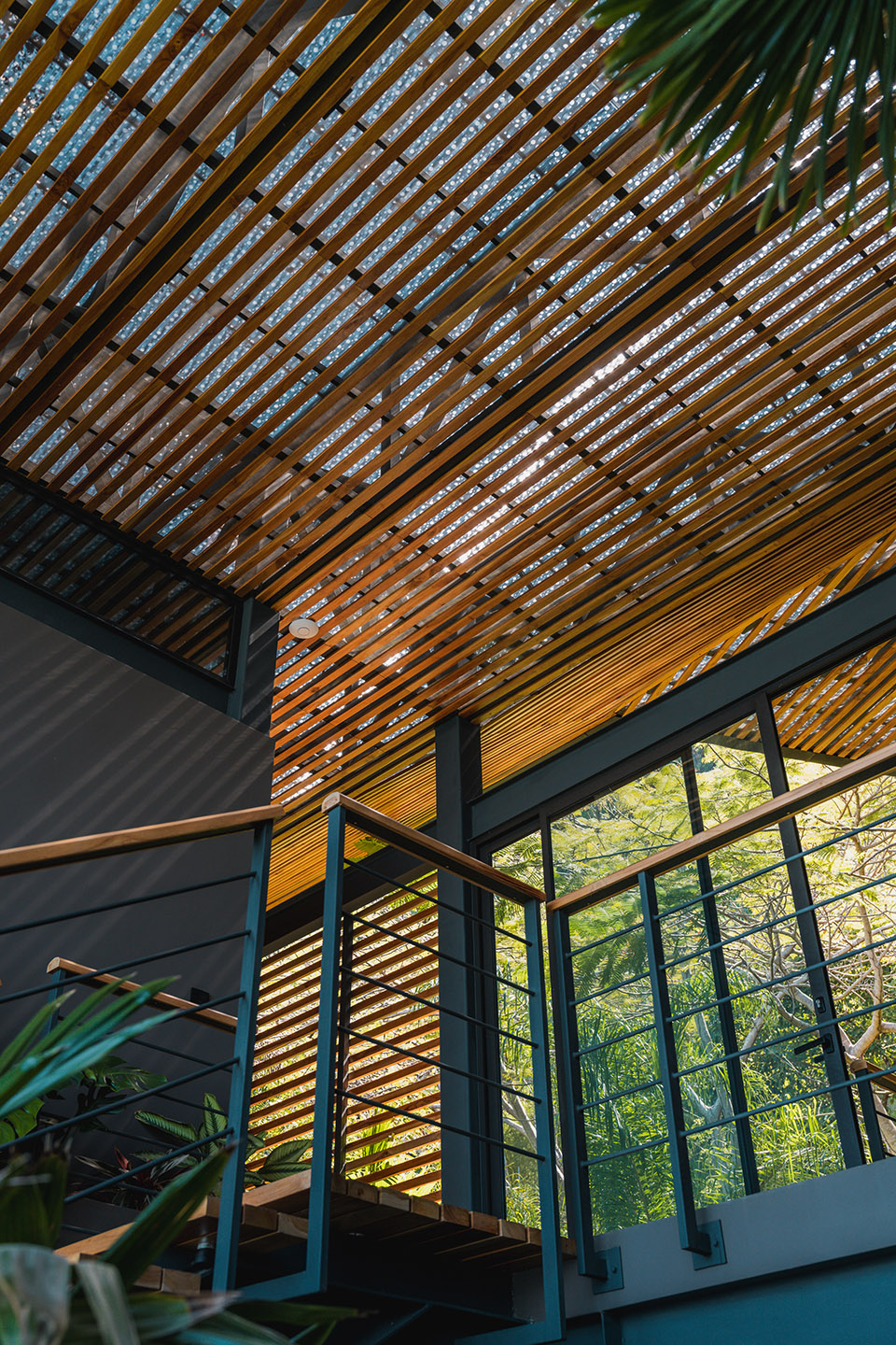 cascada de luz by studio saxe