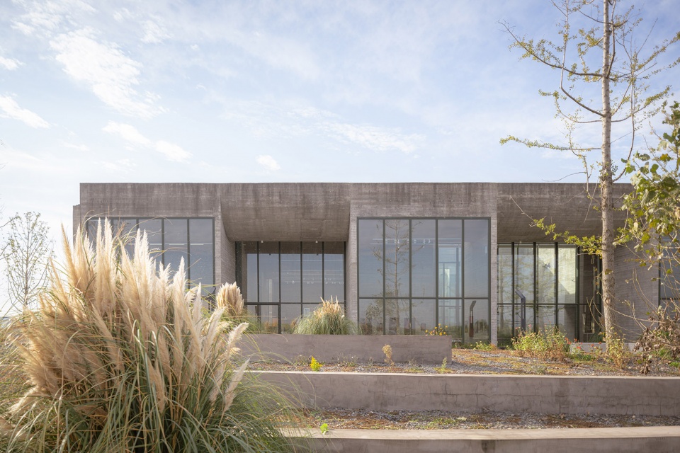 ginkgo gallery by more architecture