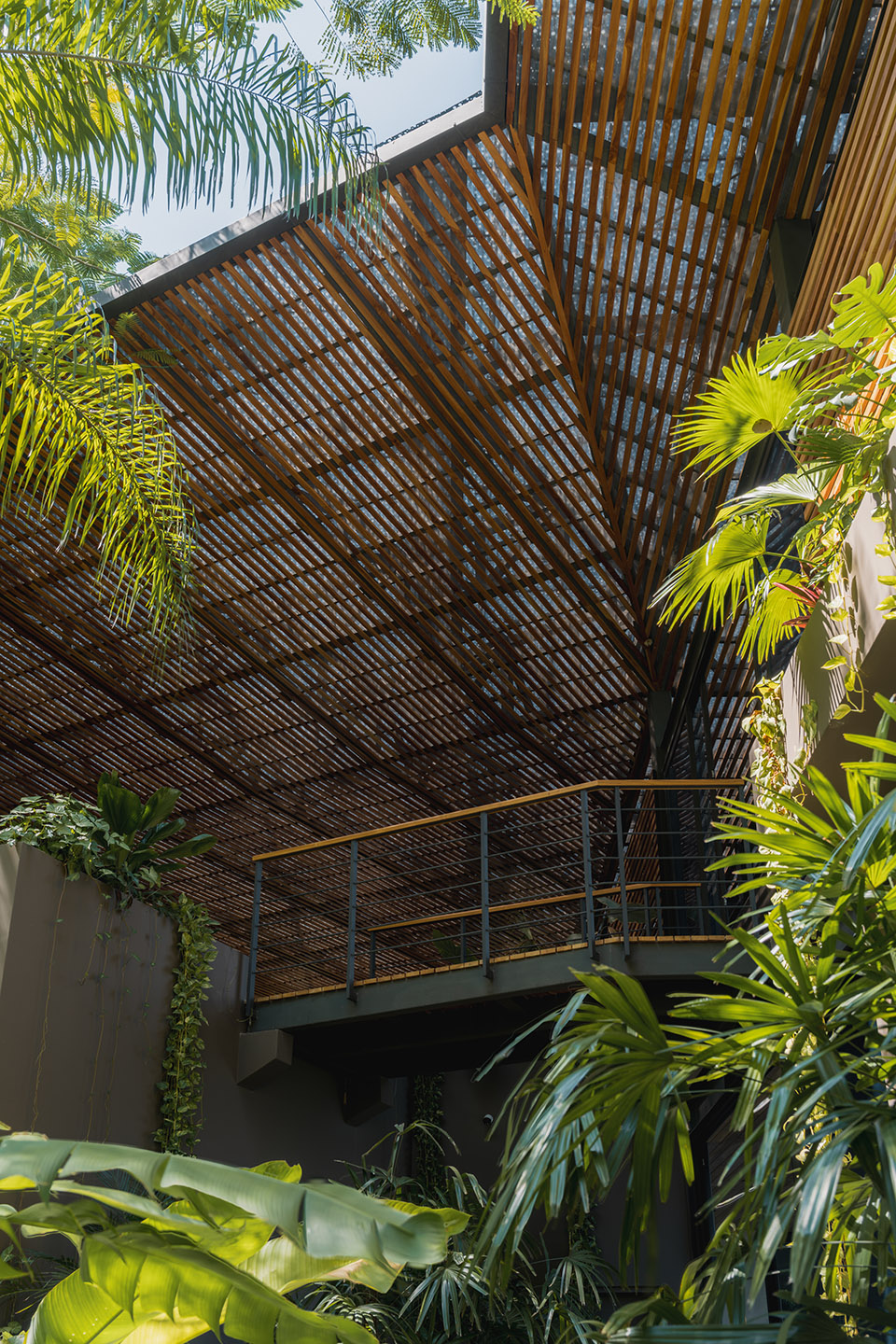 cascada de luz by studio saxe