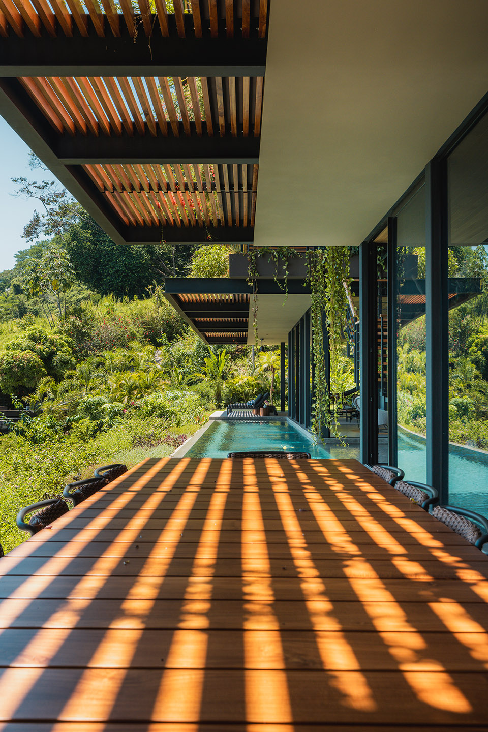 cascada de luz by studio saxe