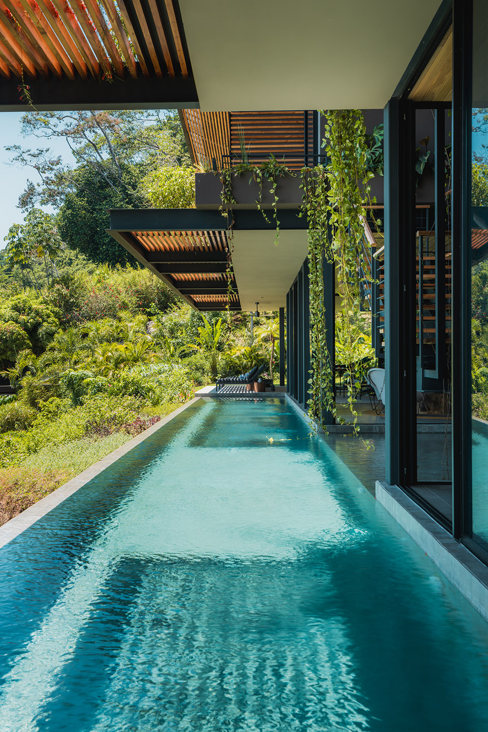 cascada de luz by studio saxe