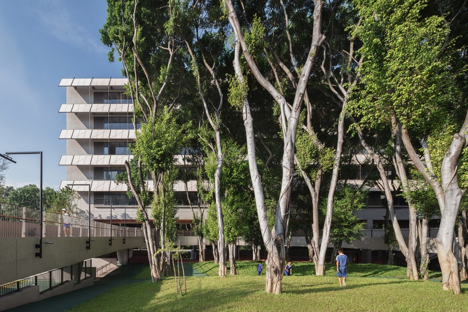 lai yuen foreign language primaray school by vector architect