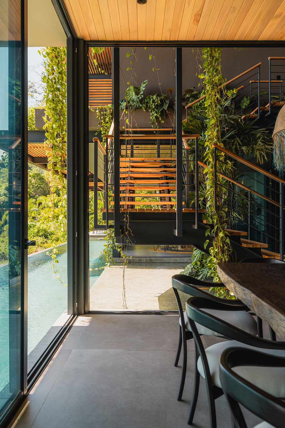 cascada de luz by studio saxe
