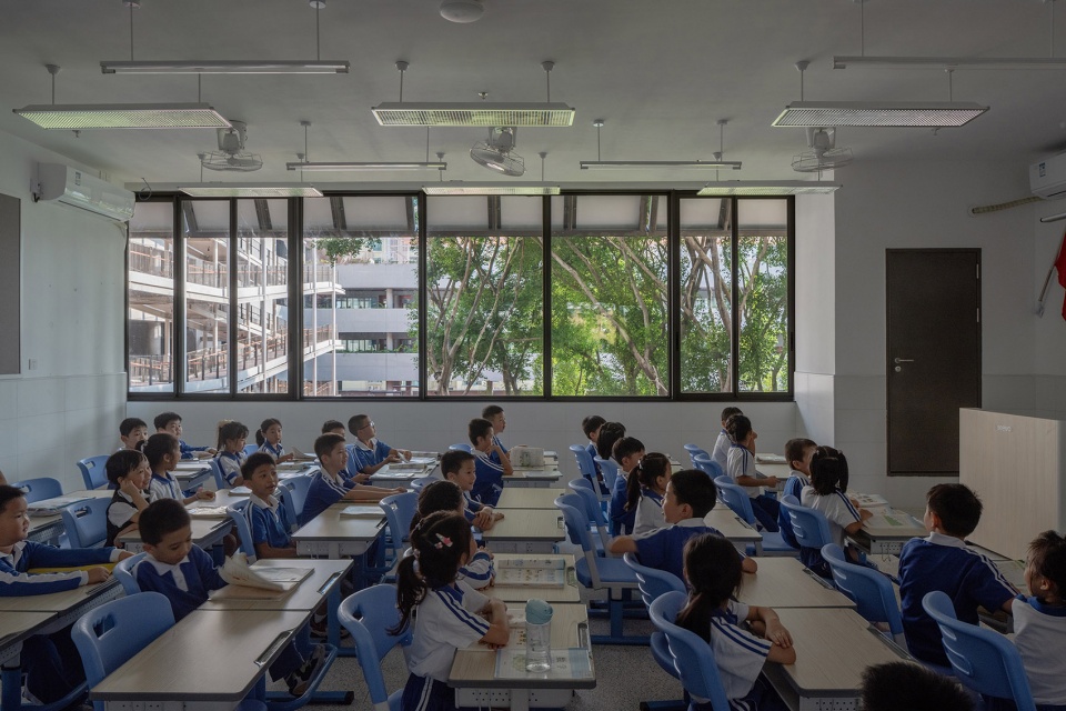 lai yuen foreign language primaray school by vector architect