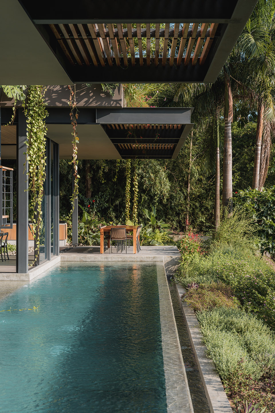 cascada de luz by studio saxe
