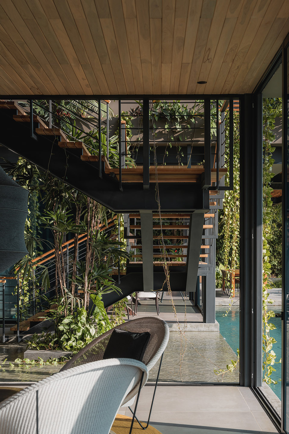 cascada de luz by studio saxe