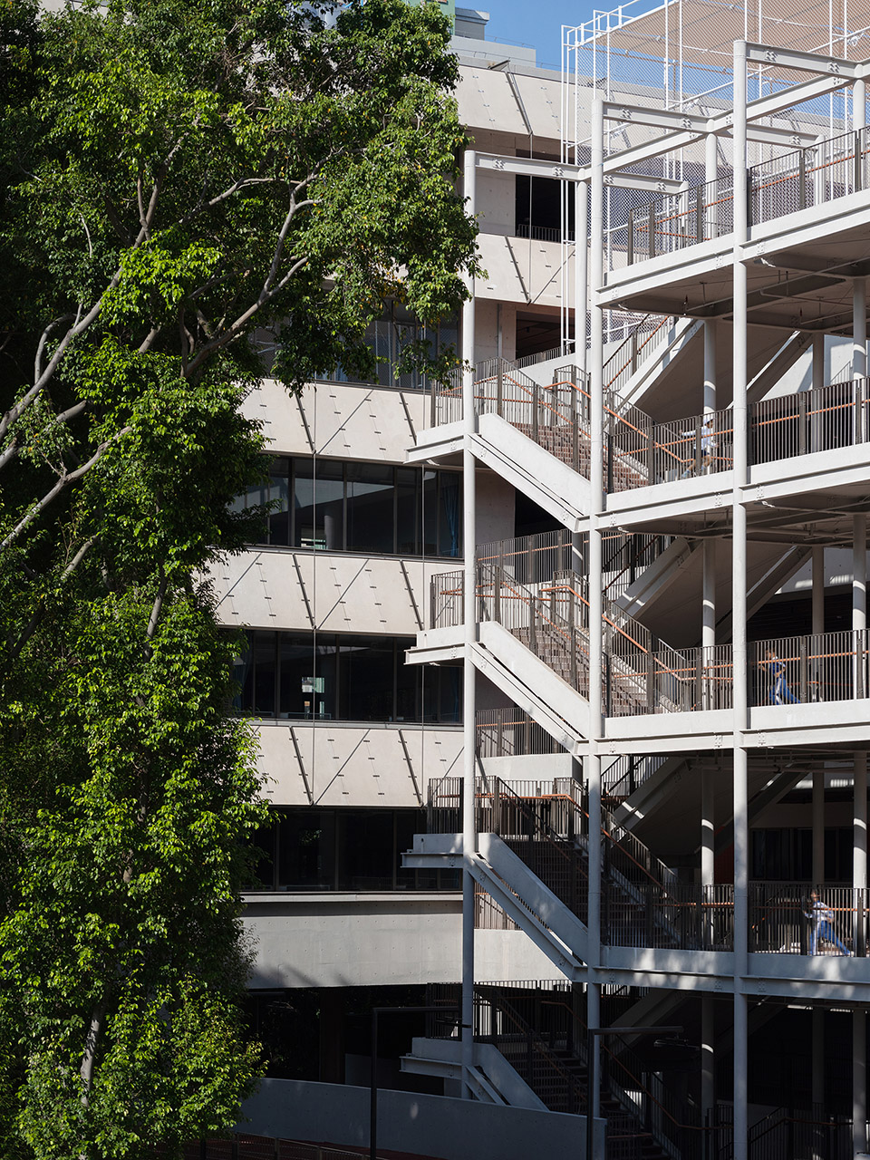 lai yuen foreign language primaray school by vector architect