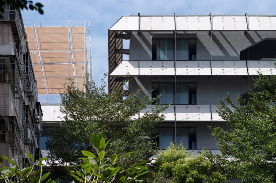 lai yuen foreign language primaray school by vector architect