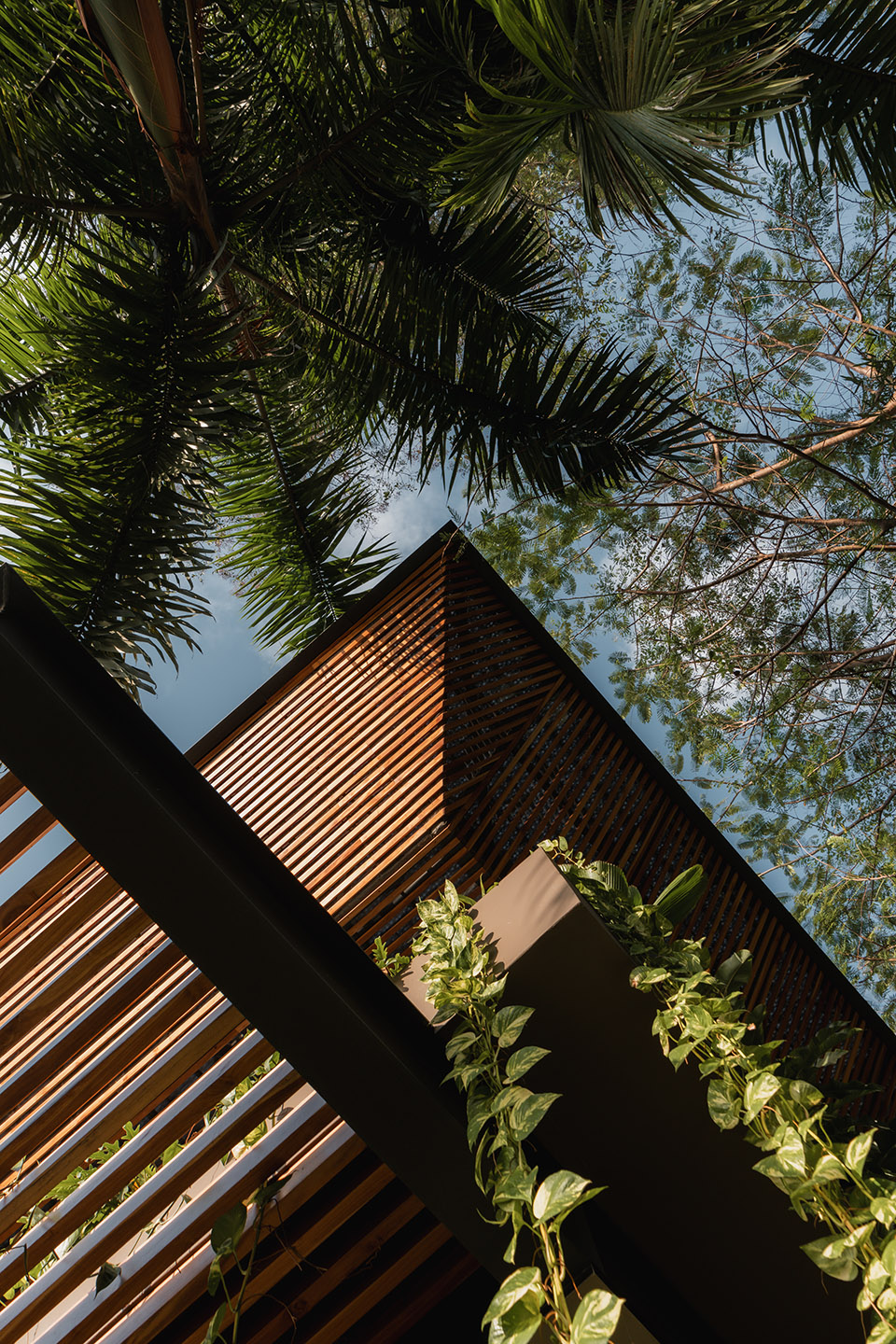 cascada de luz by studio saxe
