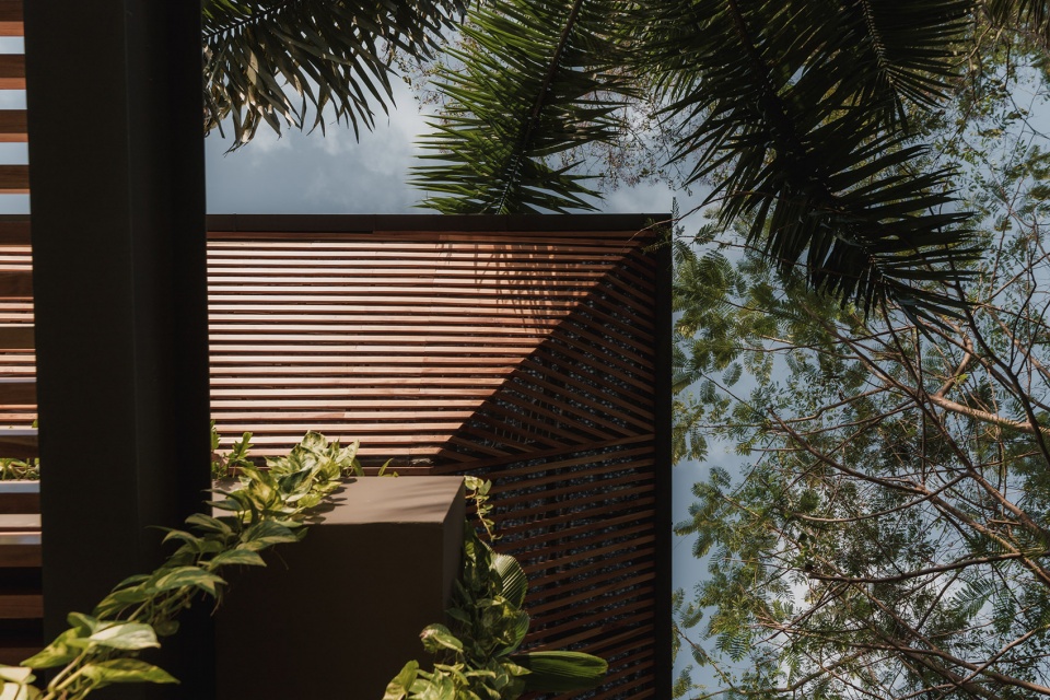 cascada de luz by studio saxe