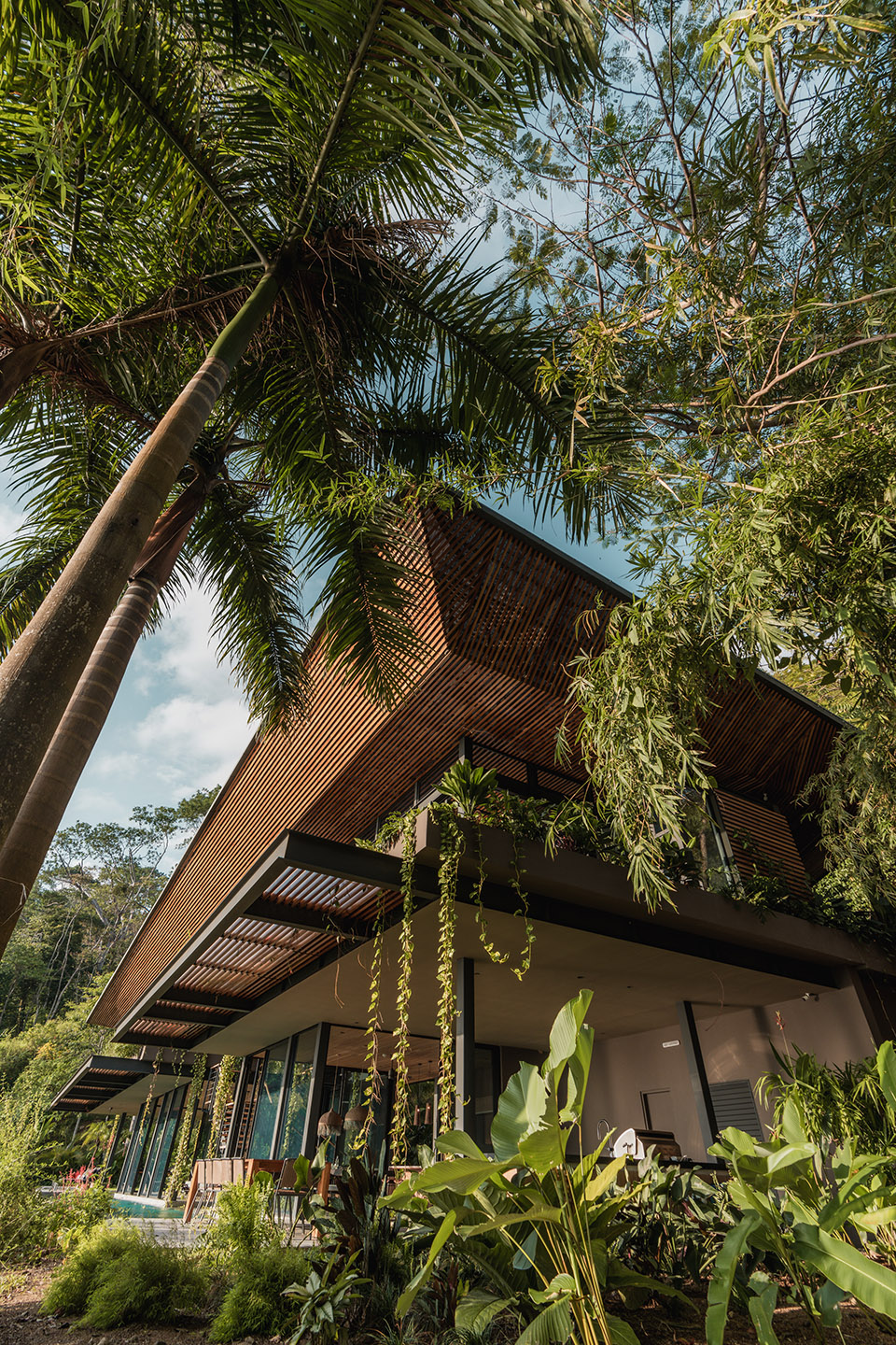 cascada de luz by studio saxe