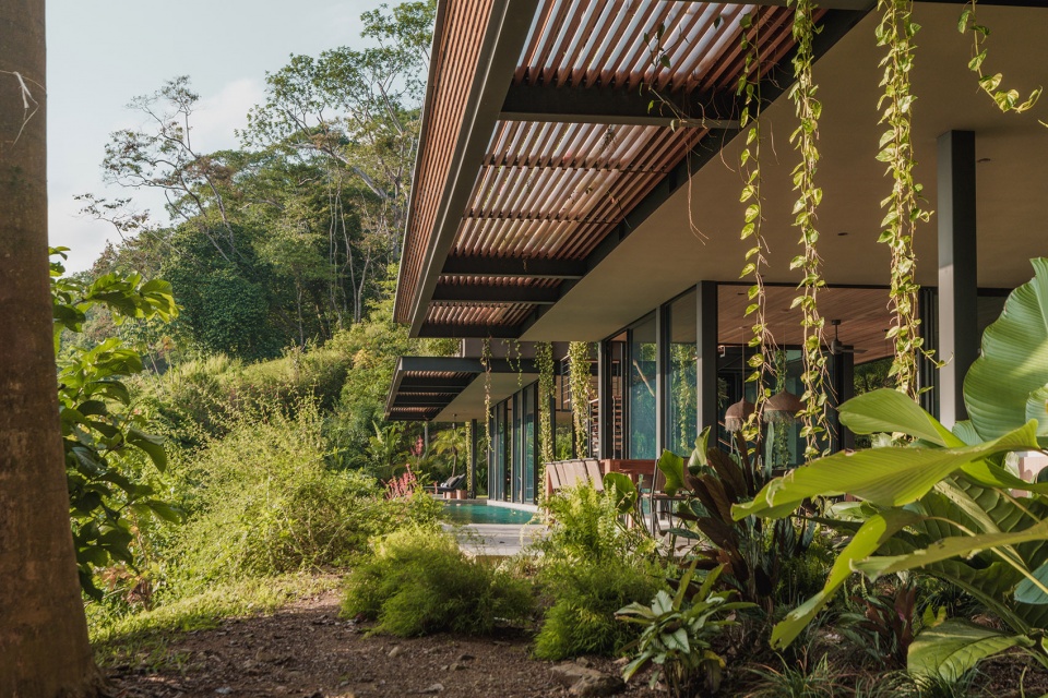 cascada de luz by studio saxe