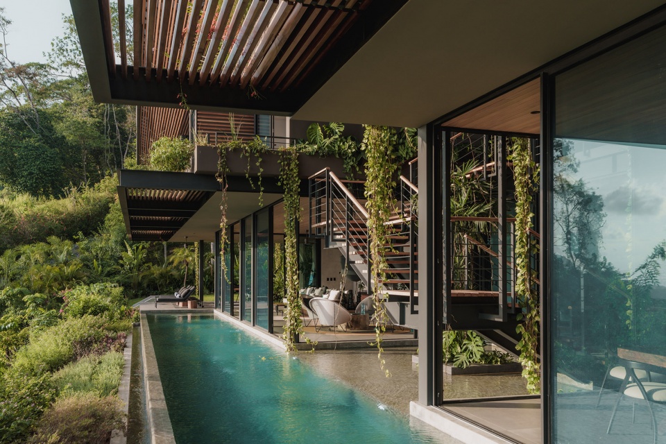 cascada de luz by studio saxe