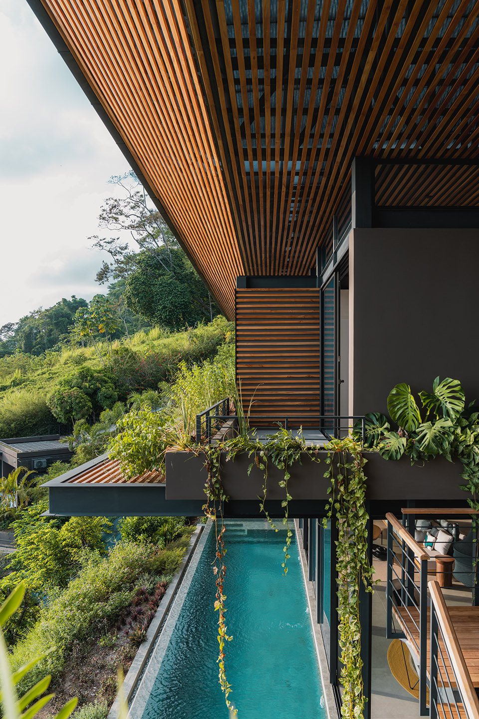 cascada de luz by studio saxe