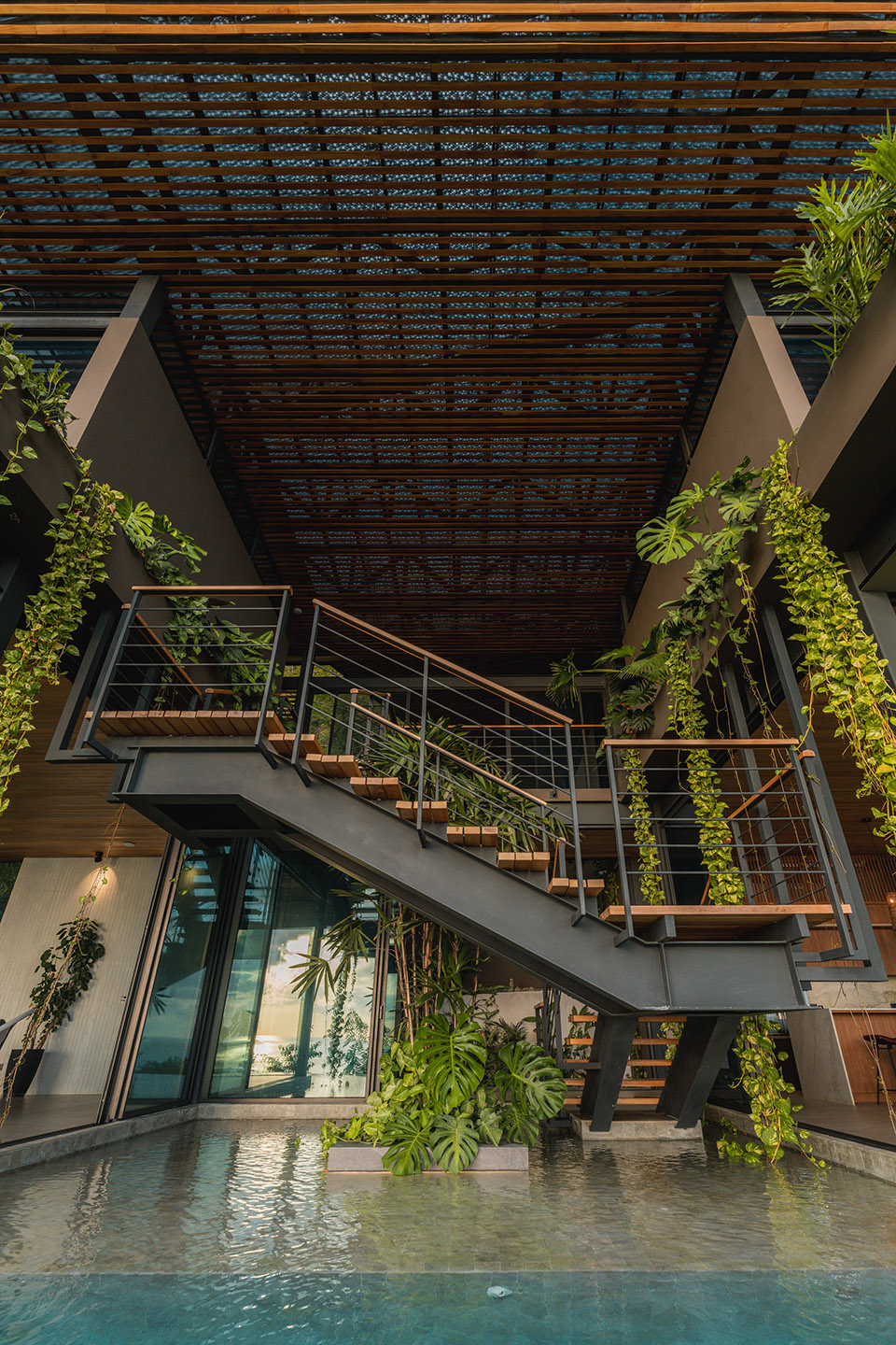 cascada de luz by studio saxe