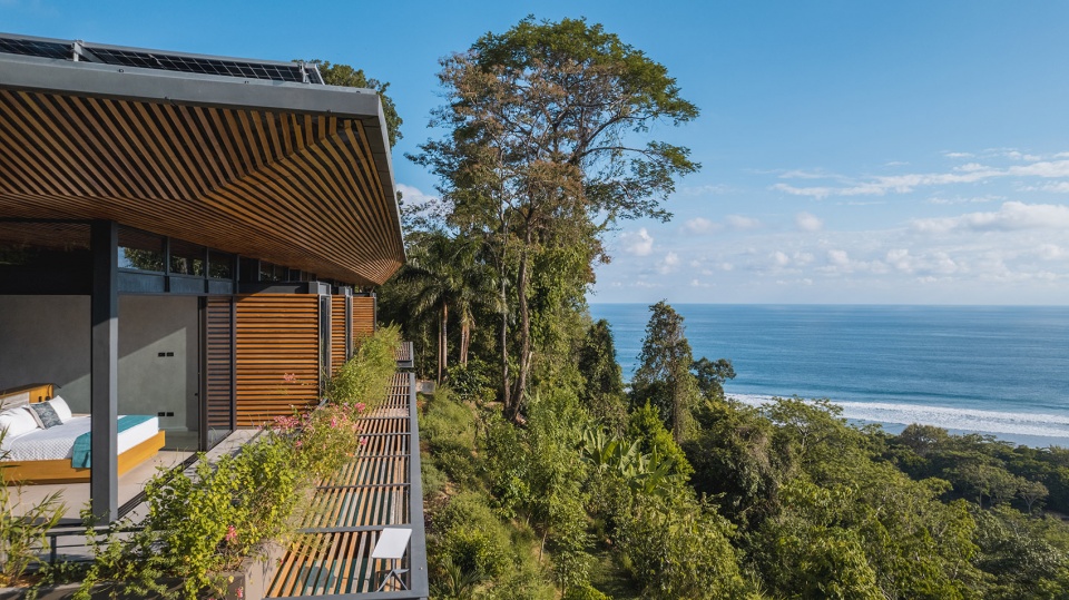 cascada de luz by studio saxe