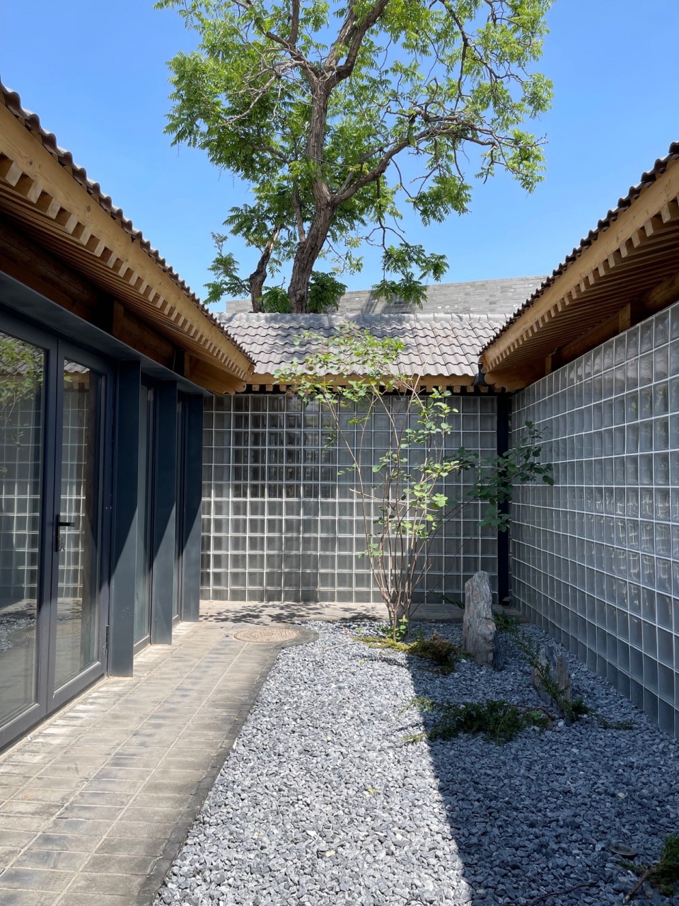 green tree in courtyard photograph by zhang xuefeng