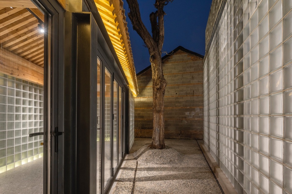 tree and yard photograph by Jin Weiqi