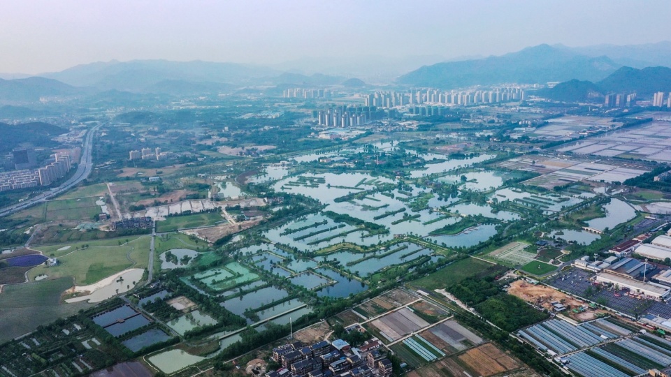 Yangbei Lake Ecological Restoration and Governance Project