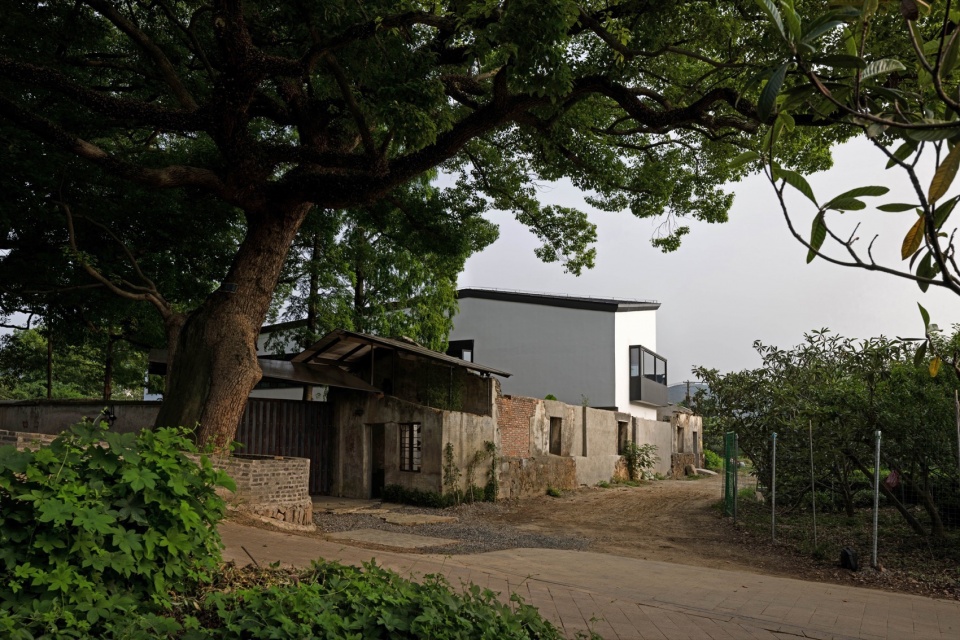 Five Camphor Courtyard