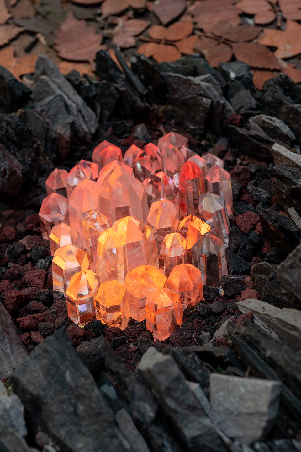 immersive ecologically focussed installations by studio kelly nunes