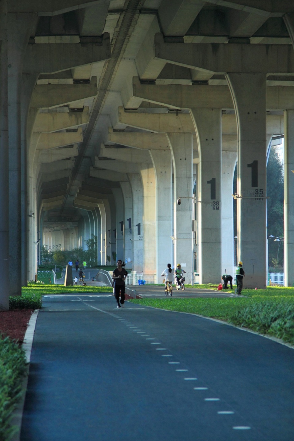 the Bay to Bay Underline Space