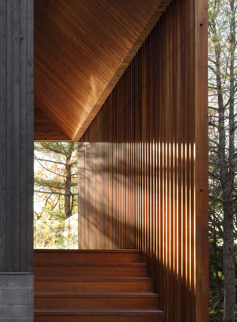 Bunkie On The Hill by Dubbeldam Architecture Design