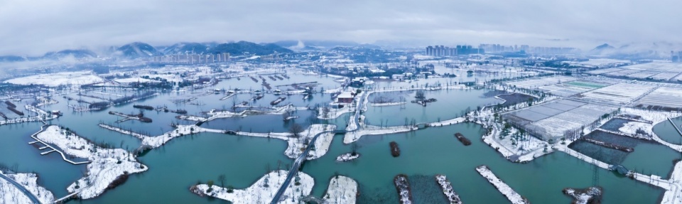 Yangbei Lake Ecological Restoration and Governance Project