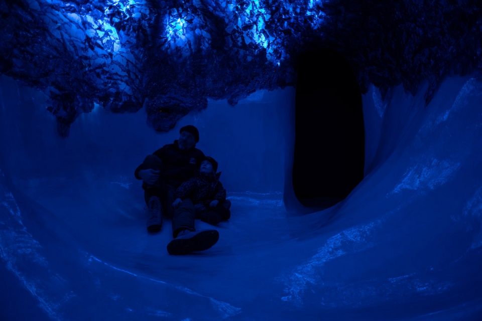 immersive ecologically focussed installations by studio kelly nunes