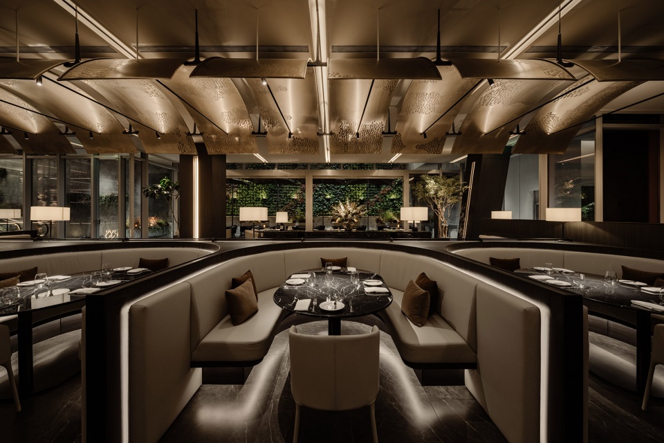 shanghai lawry by roomoo practice