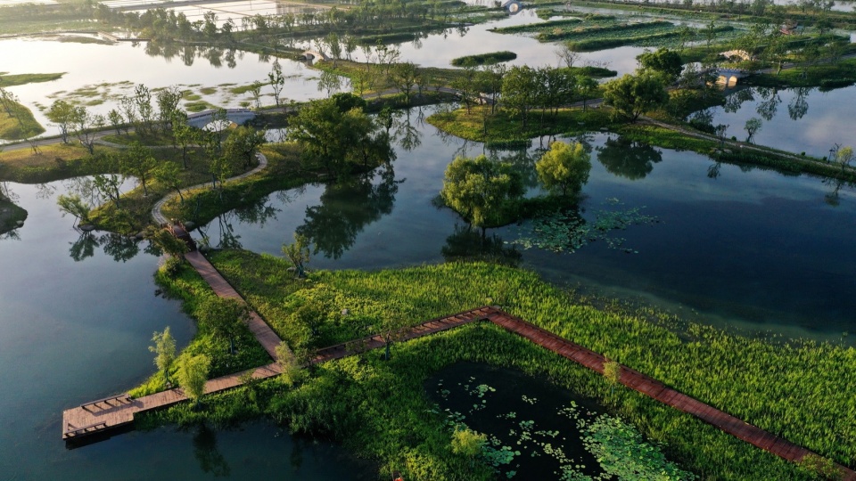 Yangbei Lake Ecological Restoration and Governance Project