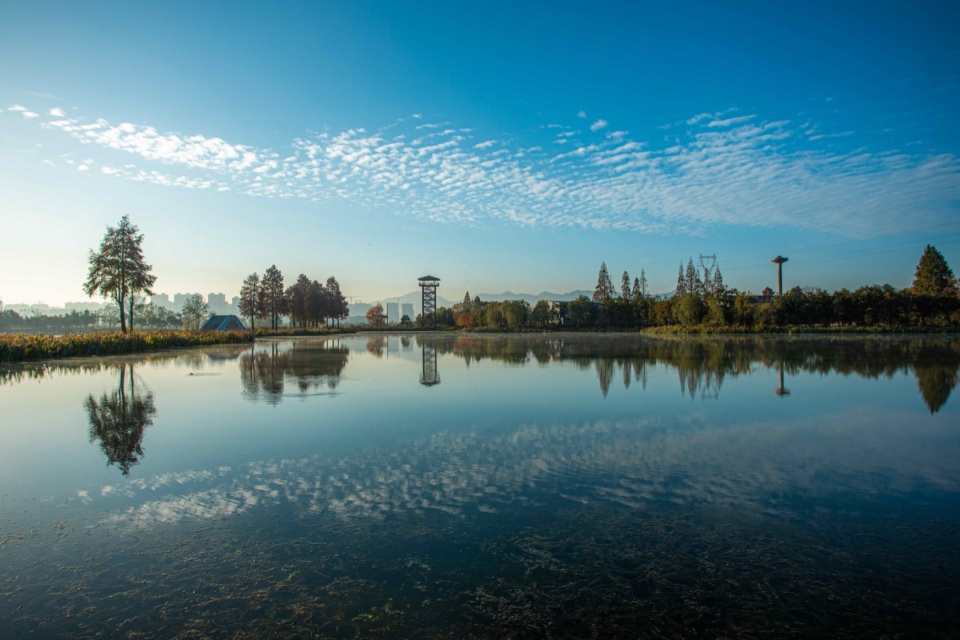 Yangbei Lake Ecological Restoration and Governance Project