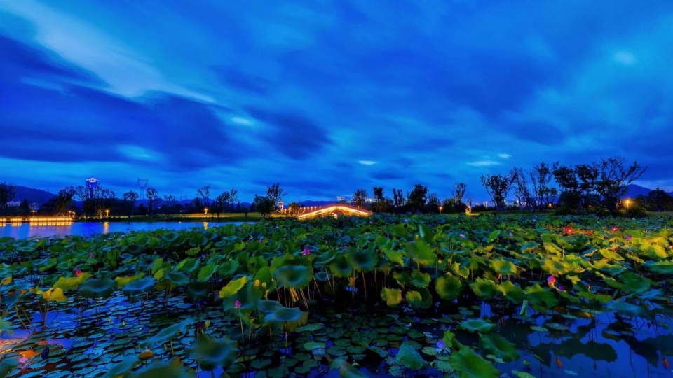 Yangbei Lake Ecological Restoration and Governance Project