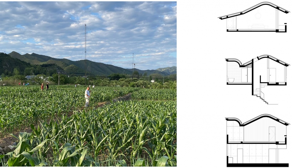 house of cornfield by xian architects