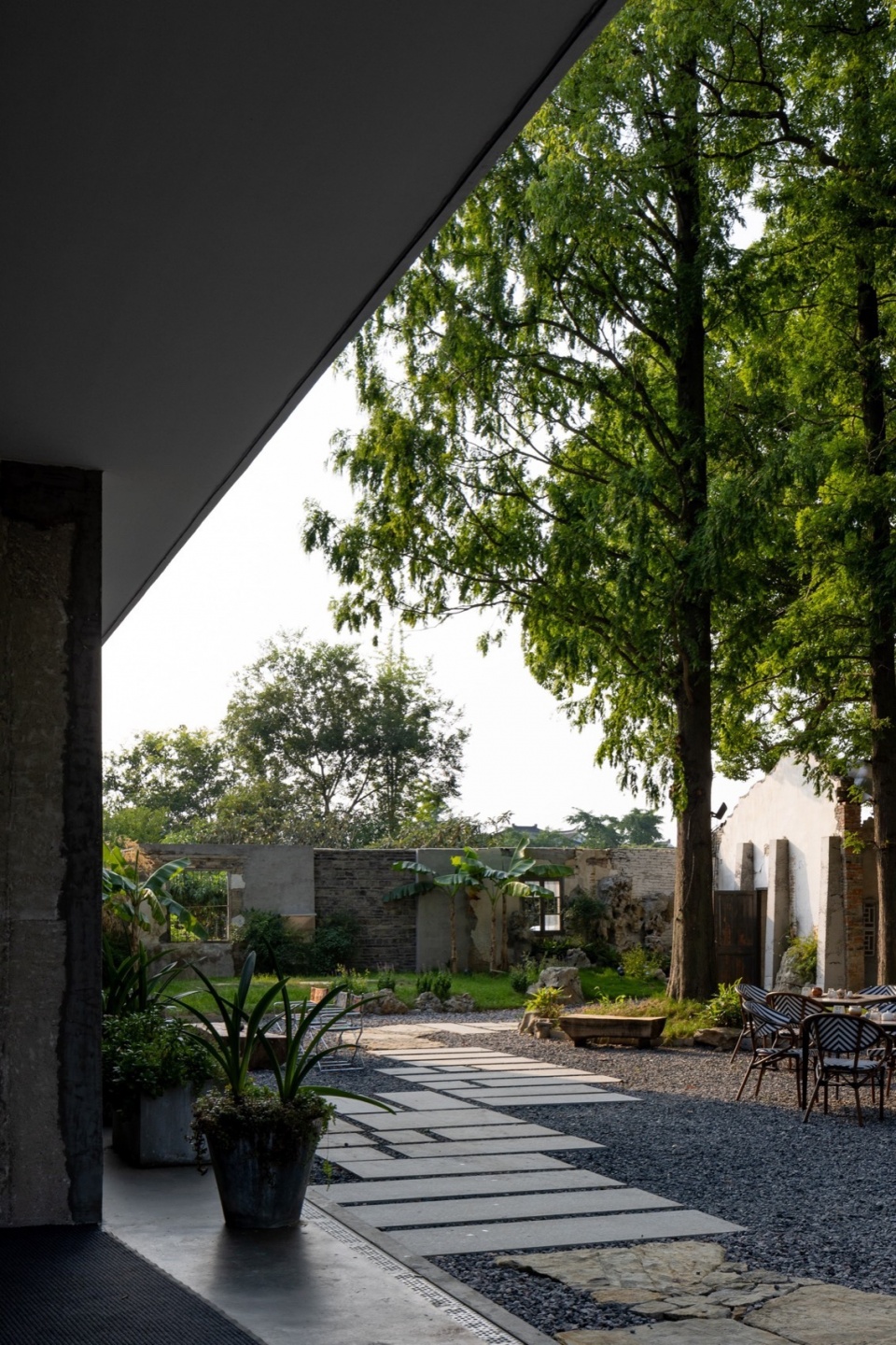Five Camphor Courtyard