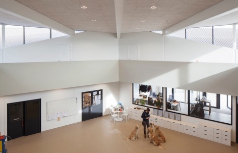 HACHIKO宠物治疗中心，比利时 / WE-S architects