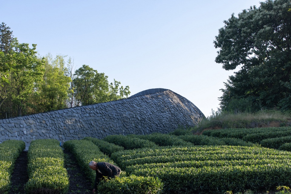 woven passage to cloudy peaks by line plus