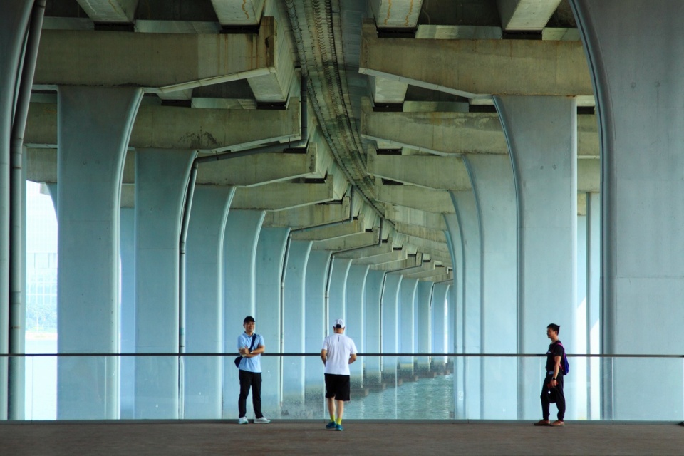 the Bay to Bay Underline Space